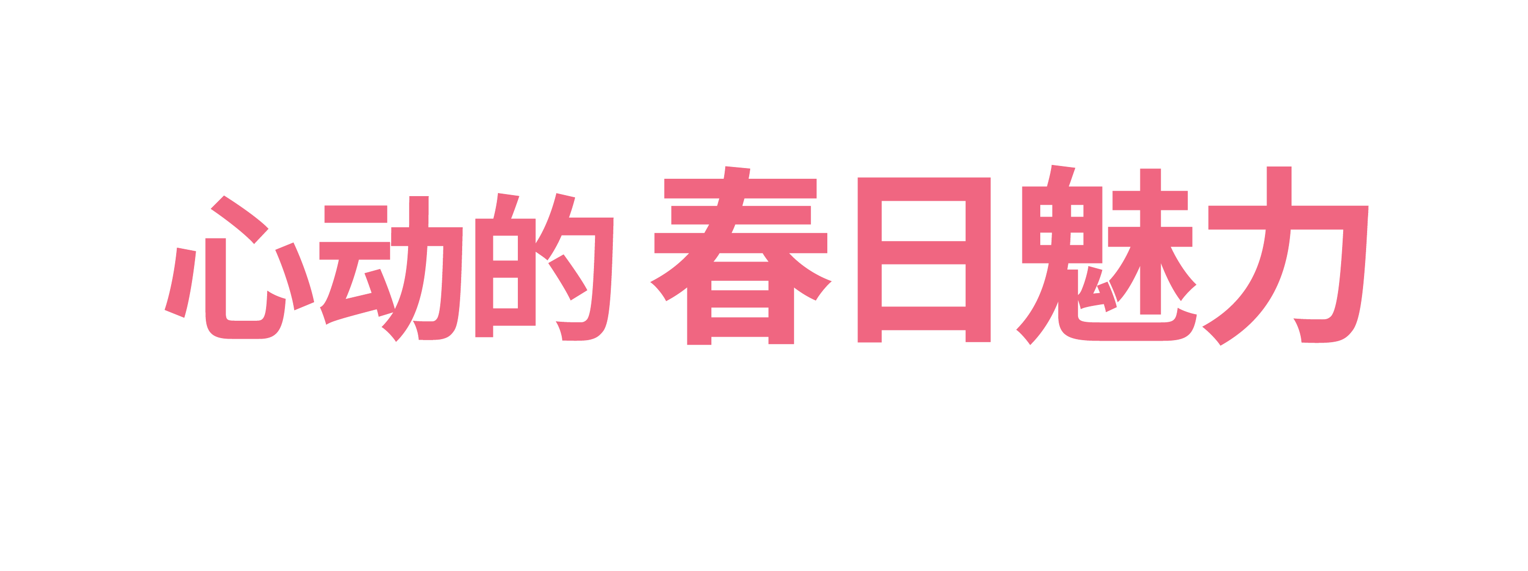 우리 벚꽃 사랑할래요 제62회 진해 군항제